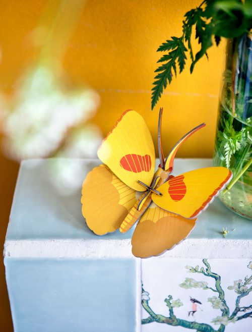 studio roof yellow butterfly